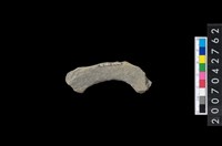 石環製作材料－中央帶啄孔打製圓板殘件藏品圖，第2張