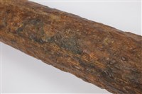 象牙化石藏品圖，第5張