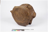 鯨魚脊椎化石藏品圖，第1張