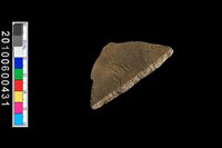 腹片藏品圖，第6張