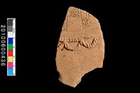 腹片藏品圖，第1張