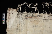 樹皮布藏品圖，第16張