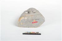 珊瑚雕像藏品圖，第5張