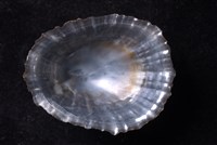 笠螺藏品圖，第4張