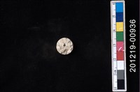 貝殼工藝品藏品圖，第1張