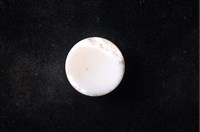 貝殼工藝品藏品圖，第4張