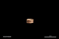 穿孔骨珠藏品圖，第1張