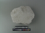 高領土的圖片