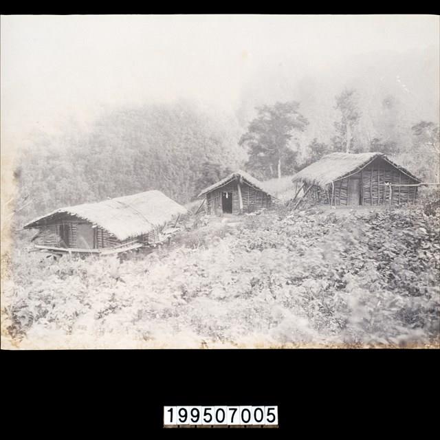 明信片藏品圖，第1張