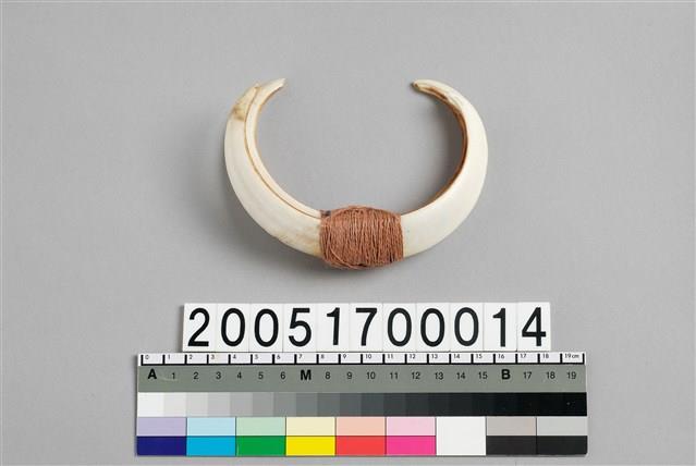 男子臂飾藏品圖，第1張