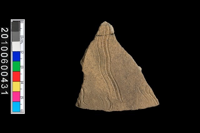 腹片藏品圖，第1張