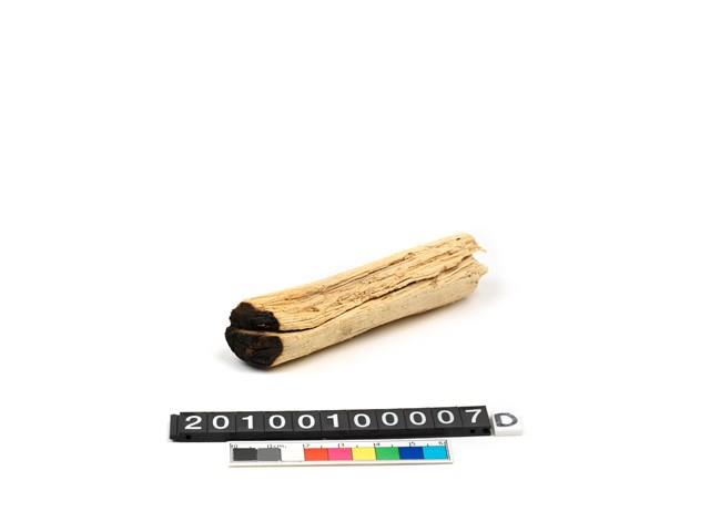 生火器藏品圖，第11張