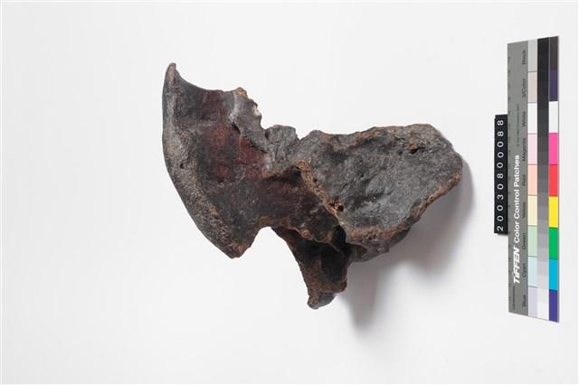 牛薦椎藏品圖，第5張