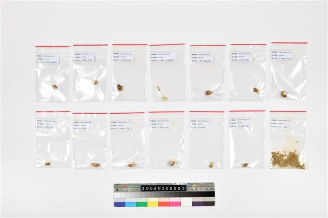 老年男性頭骨藏品圖，第38張