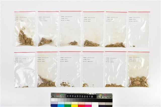 老年女性頭骨藏品圖，第9張