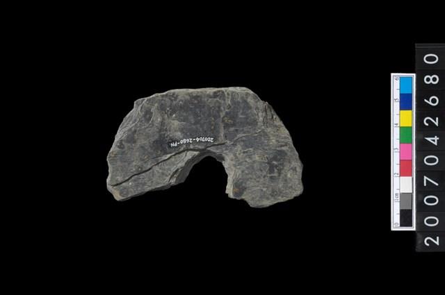 石環製作材料-中央帶啄孔打製圓板殘件藏品圖，第2張