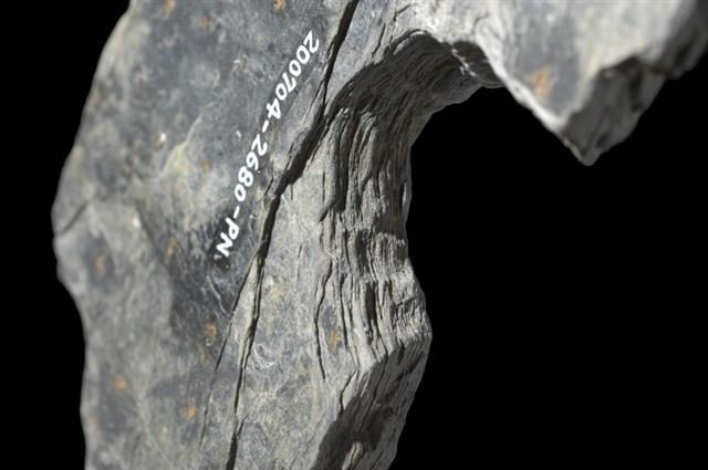 石環製作材料-中央帶啄孔打製圓板殘件藏品圖，第7張