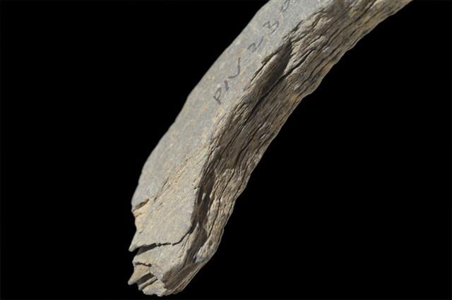 石環製作材料－中央帶啄孔打製圓板殘件藏品圖，第7張