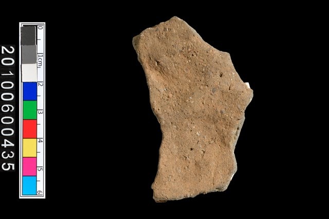 腹片藏品圖，第3張