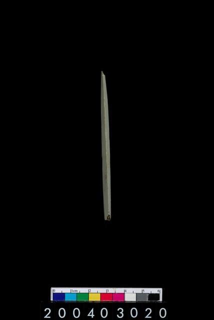 石矛藏品圖，第3張