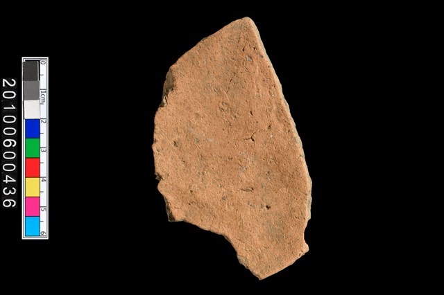 腹片藏品圖，第3張