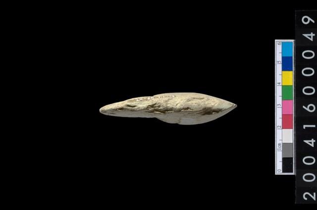 石錛藏品圖，第3張