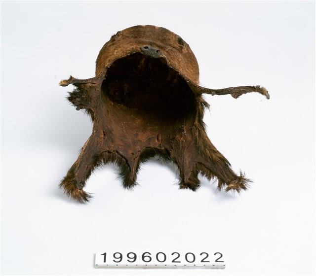 皮帽藏品圖，第3張