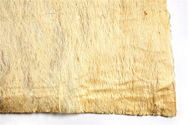樹皮布樣本藏品圖，第3張