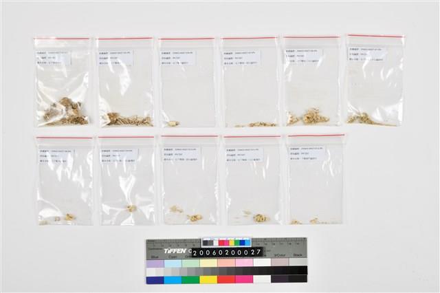 人頭骨殘件藏品圖，第23張