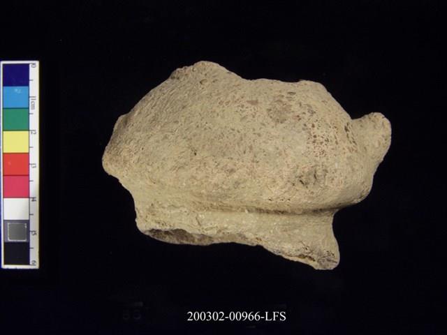 雙豎把矮圈足陶罐藏品圖，第1張