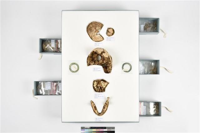 人頭骨殘件藏品圖，第1張