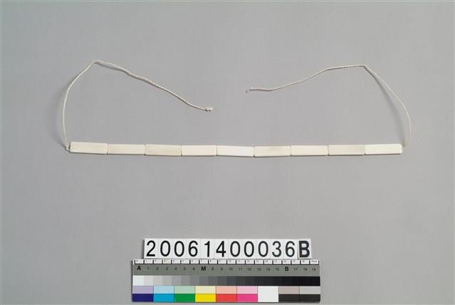 貝片綁帶藏品圖，第1張