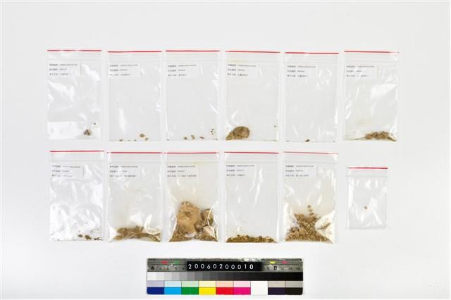 老年女性頭骨藏品圖，第10張