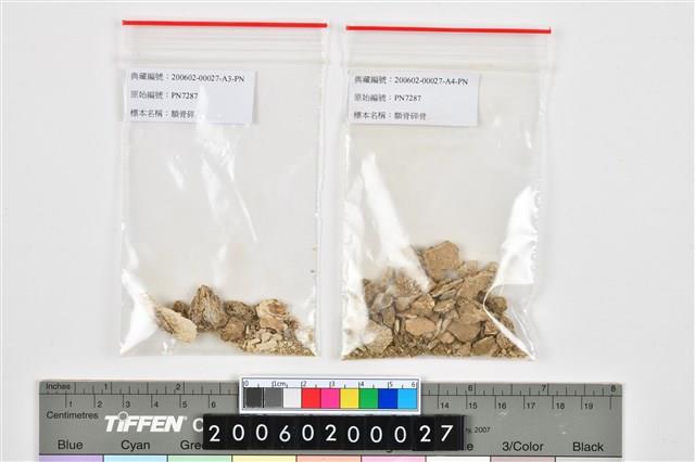 人頭骨殘件藏品圖，第20張