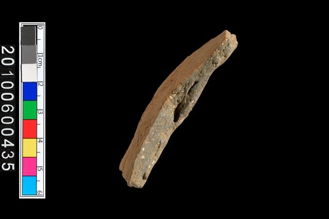 腹片藏品圖，第4張