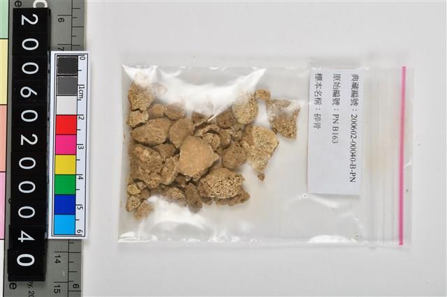 人頭骨頂骨殘片藏品圖，第4張