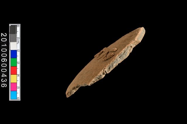 腹片藏品圖，第4張