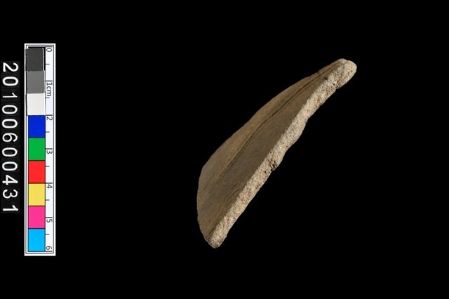 腹片藏品圖，第4張