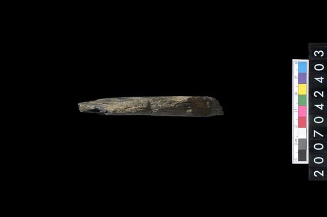 石環製作材料-打製圓形石板藏品圖，第4張