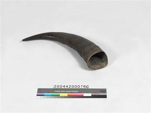 木雕牛藏品圖，第14張