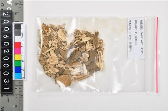 複體葬人骨各部位藏品圖，第45張