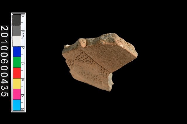 腹片藏品圖，第5張