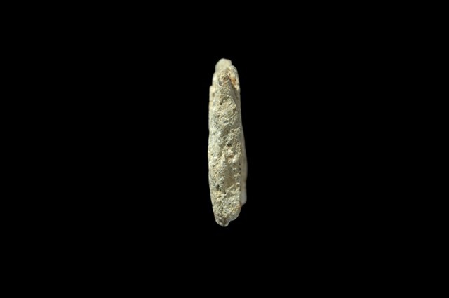 石錛藏品圖，第5張