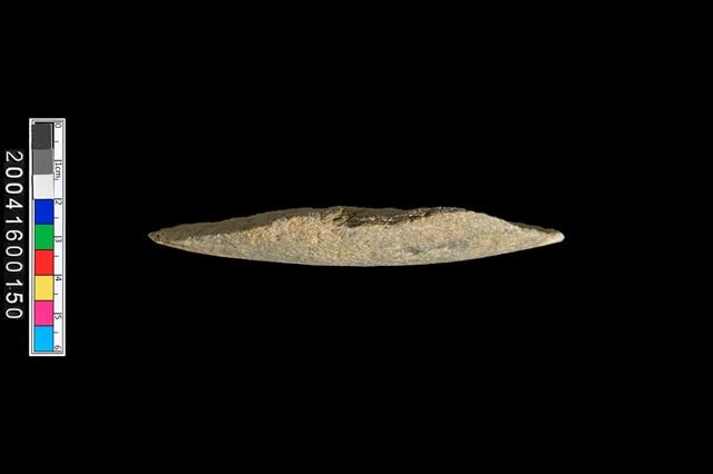 刮削器藏品圖，第5張