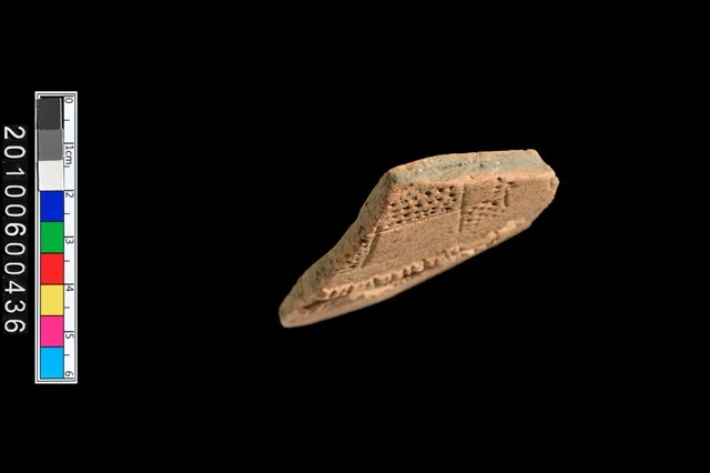 腹片藏品圖，第5張