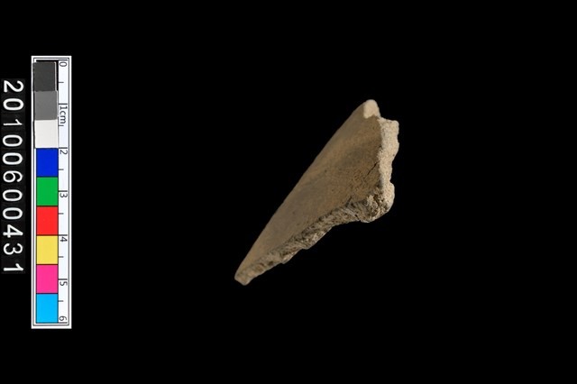 腹片藏品圖，第5張