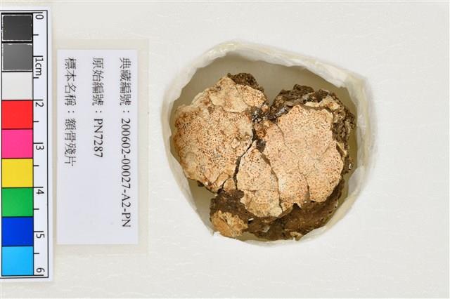 人頭骨殘件藏品圖，第5張