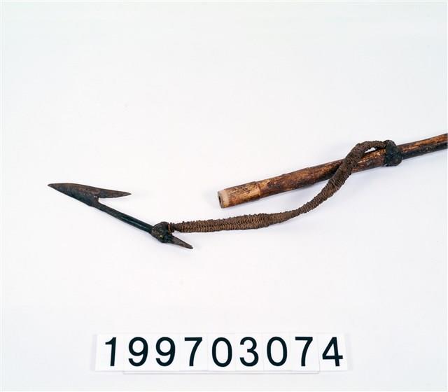 長矛藏品圖，第2張