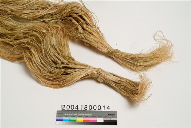 苧麻纖維藏品圖，第2張