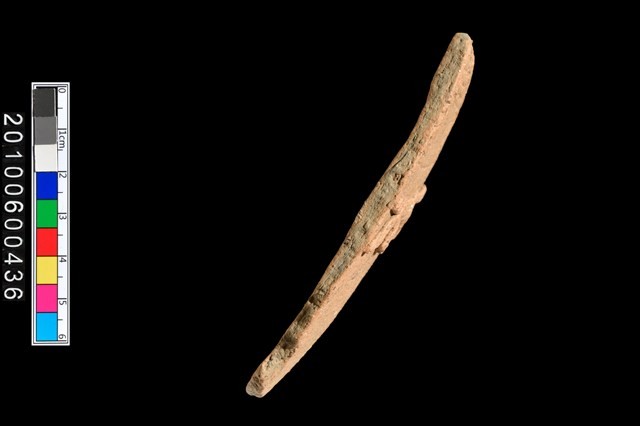 腹片藏品圖，第2張